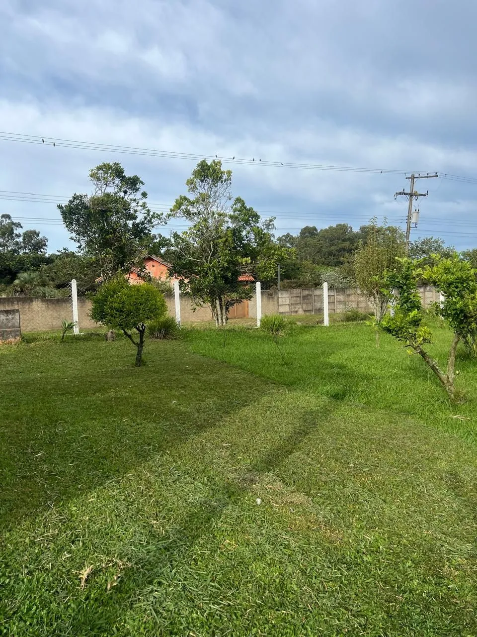 Imagem Sítio em Parque Florestal Itapuã