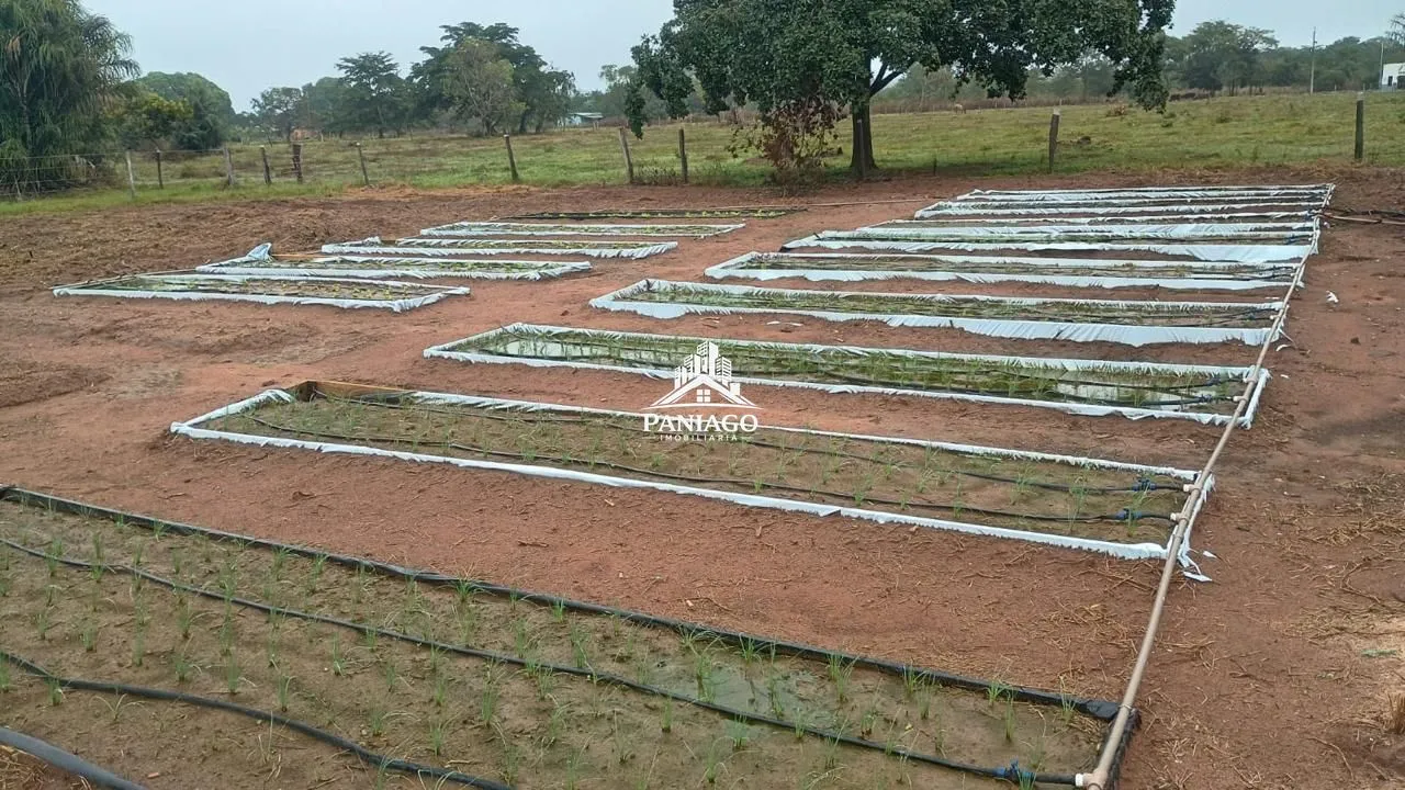 Imagem Sítio à Venda ou Troca em Cuiabá/MT | 9,6 Hectares na Região do Rio dos Couros