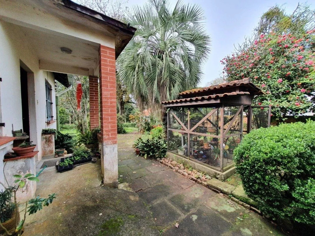 Imagem DOIS GRANDES TERRENOS localizados