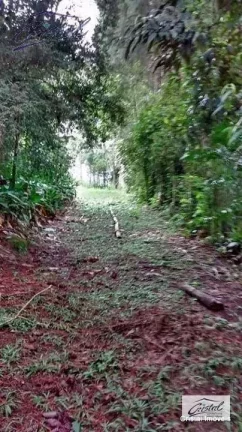 Imagem Chácara Rural à venda, Santana, Cotia - .