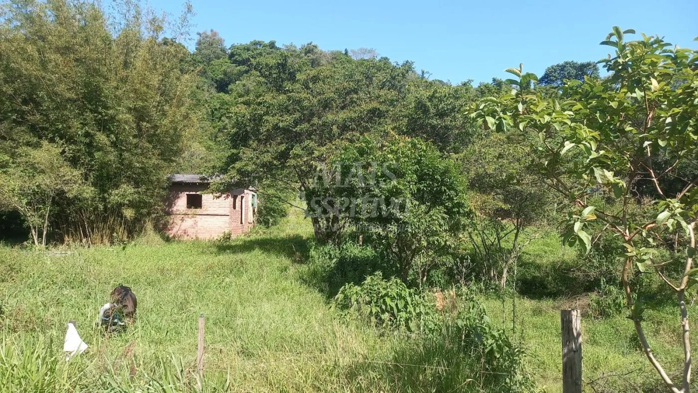 Imagem Excelente Chácara para Venda em Taquara Bairro Pega Fogo