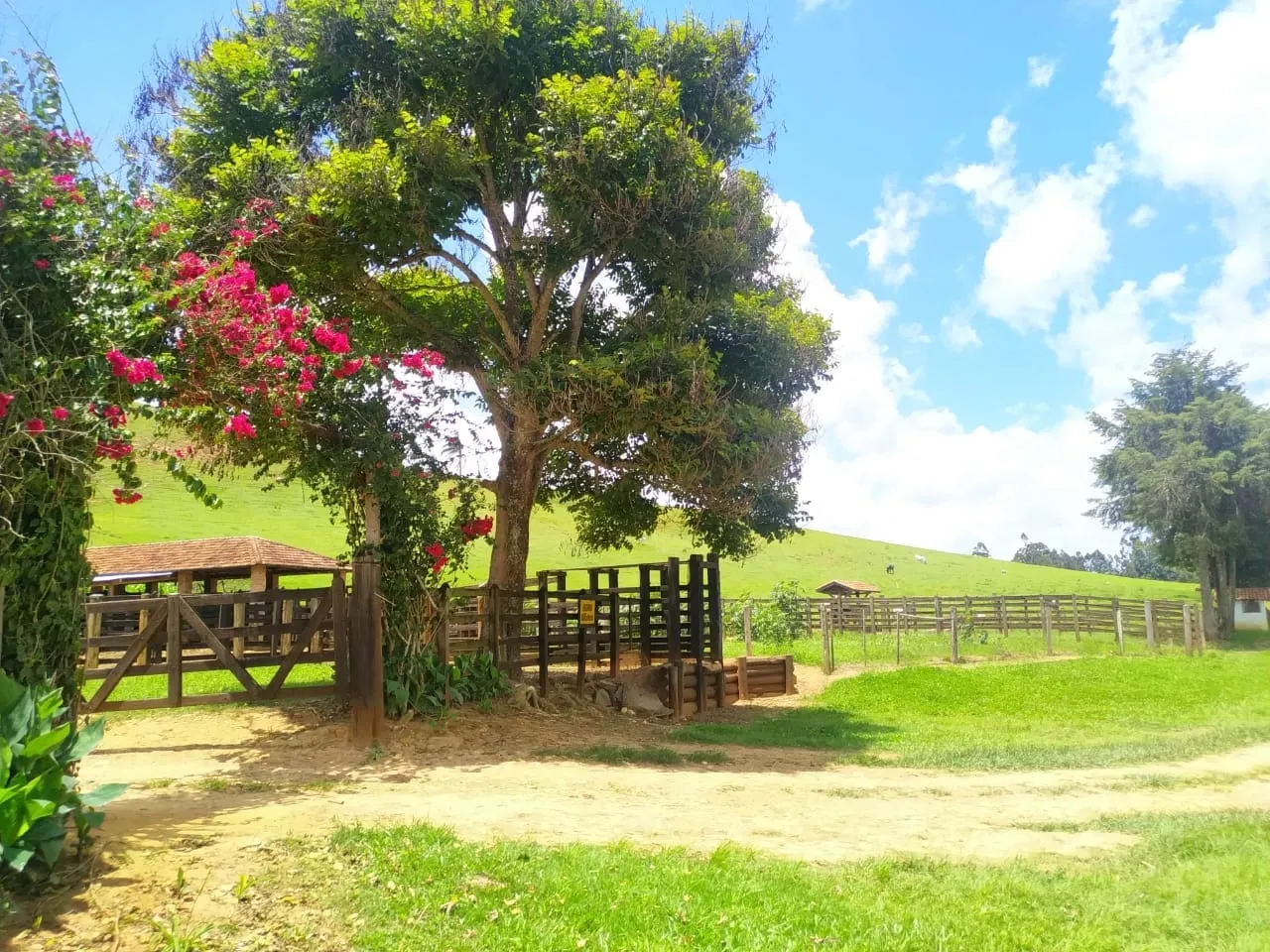 Imagem FAZENDA COMPLETA E ESTRUTURADA PARA PECUÁRIA - 105,5 ALQUEIRES