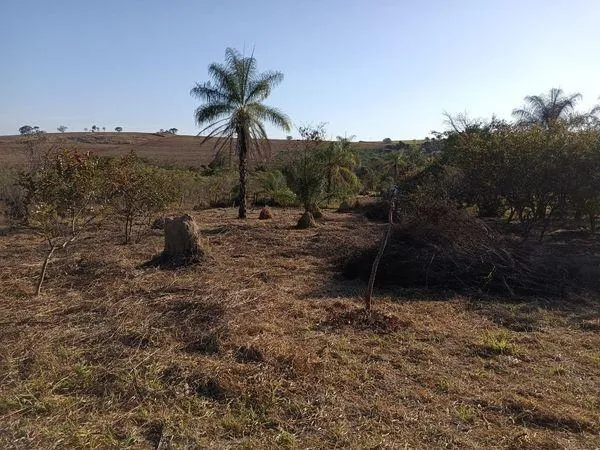 Imagem TERRENO- ARTUR NOGUEIRA/HOLAMBRA
