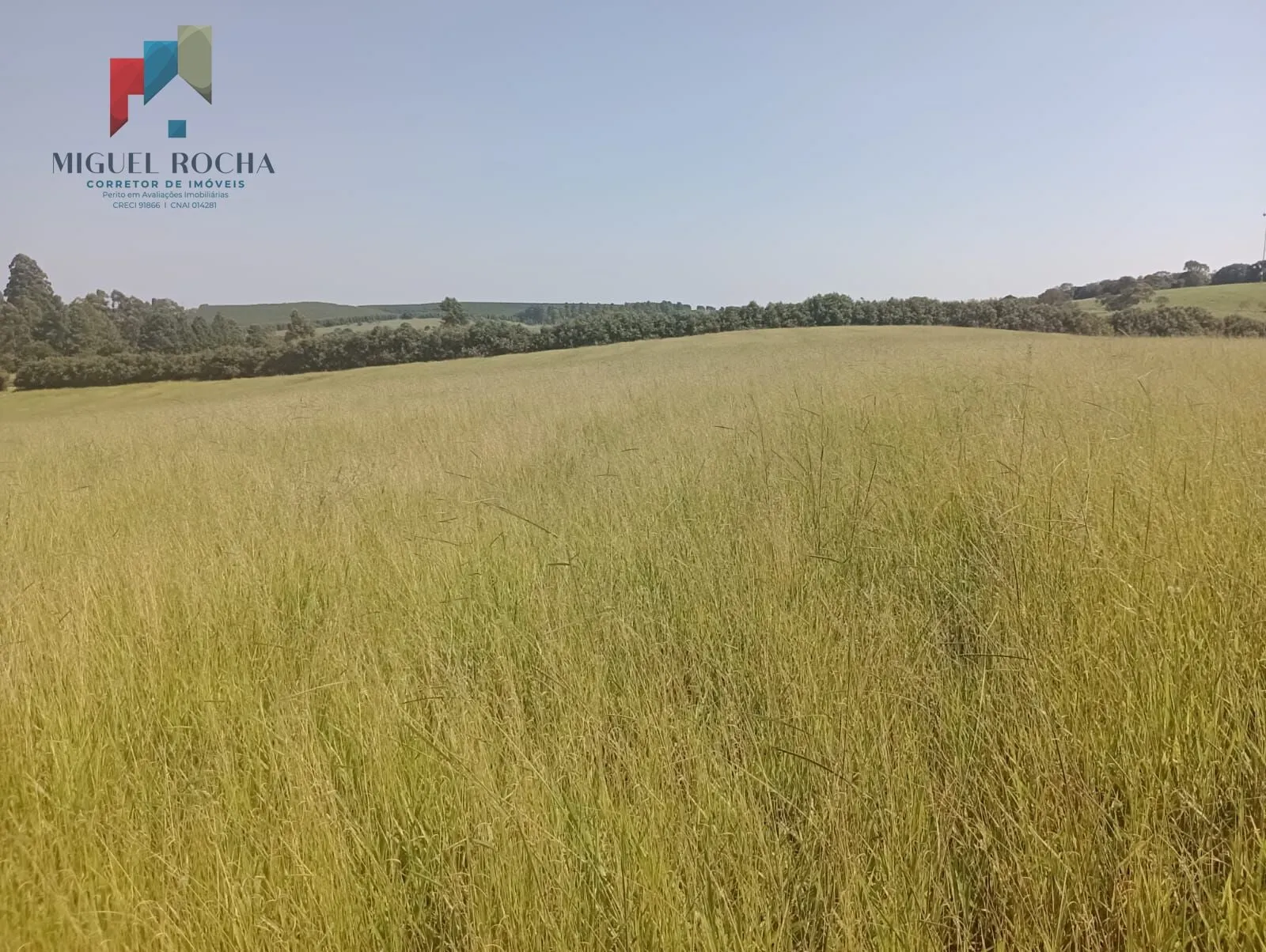 Imagem Fazenda Região Botucatu SP
