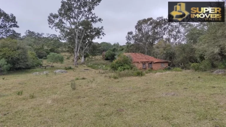 Imagem Fazenda para Venda em Centro Canguçu-RS - 2055