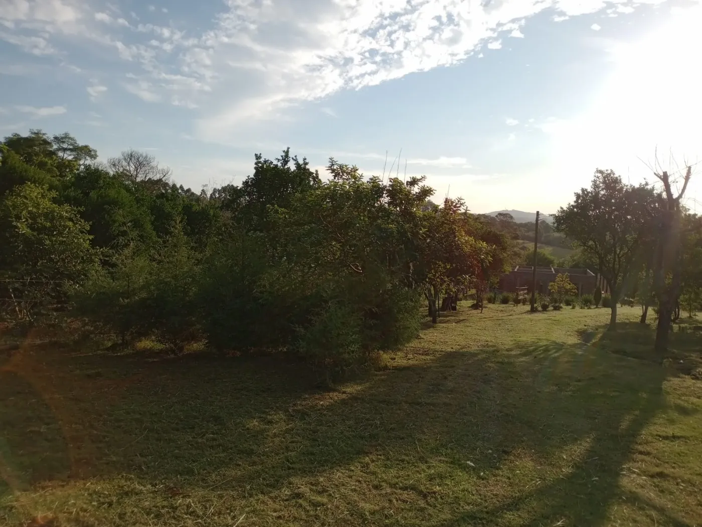Imagem Sítio para Venda em Pelotas, Monte Bonito, 3 dormitórios, 1 banheiro, 1 vaga
