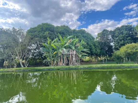 Imagem Chácara à venda na Área Rural de Uberaba - Ótima oportunidade!