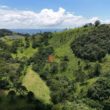 Imagem Área à venda, 13 alqueires paulista por R$ 5.300.000 - São Mateus - Camanducaia/MG