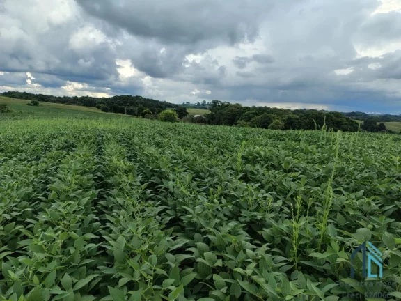 Imagem Terreno com 9,2 Alqueires, área verde ideal para plantio ou construção, em Campo Largo PR