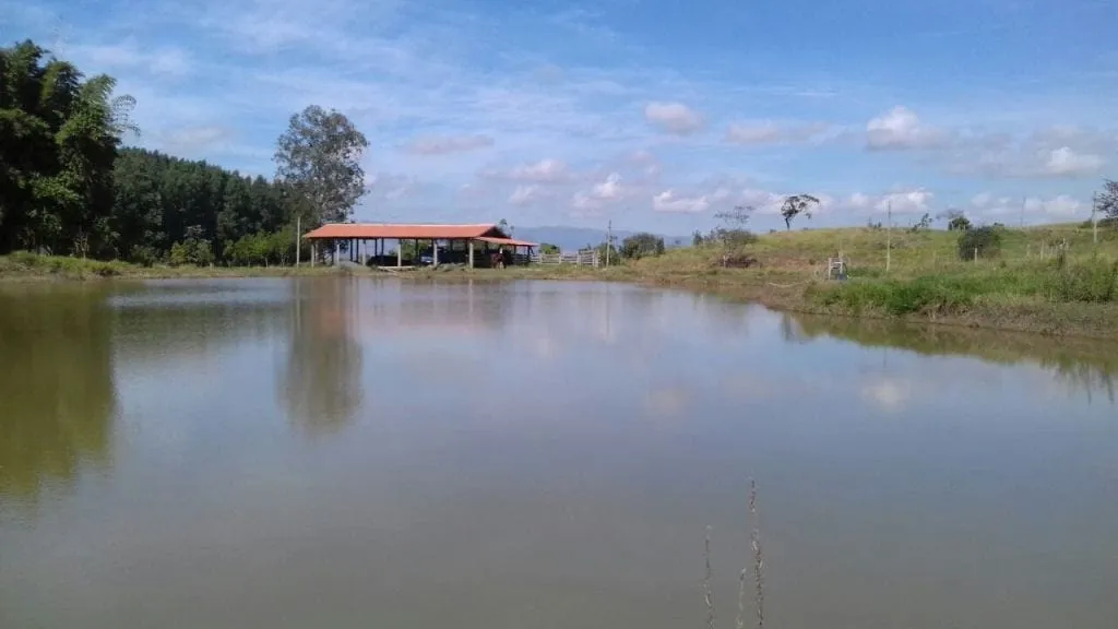 Imagem Chácara à venda 3 Quartos, 1 Suite, 1 Vaga, 96000M², Rio a cima, Guaratinguetá - SP