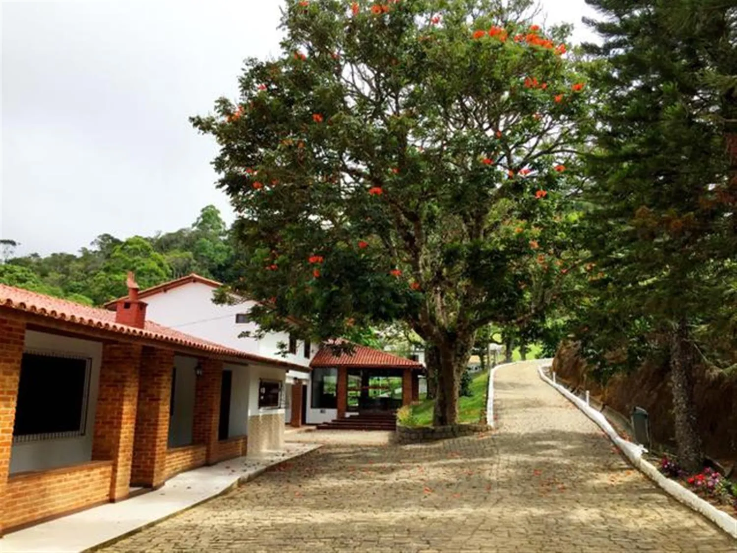 Imagem Fazenda / Sítios / Chácaras com 4 quartos à venda em Santa Teresa