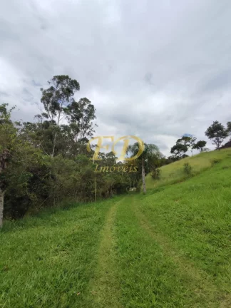 Imagem Sítio Região de Mairiporã / Terra Preta