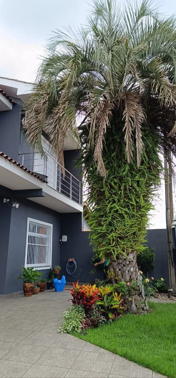 Imagem Sobrado 233m² 05 dormitórios, 04 vagas, no Bairro Moinhos de Vento em Canoas
