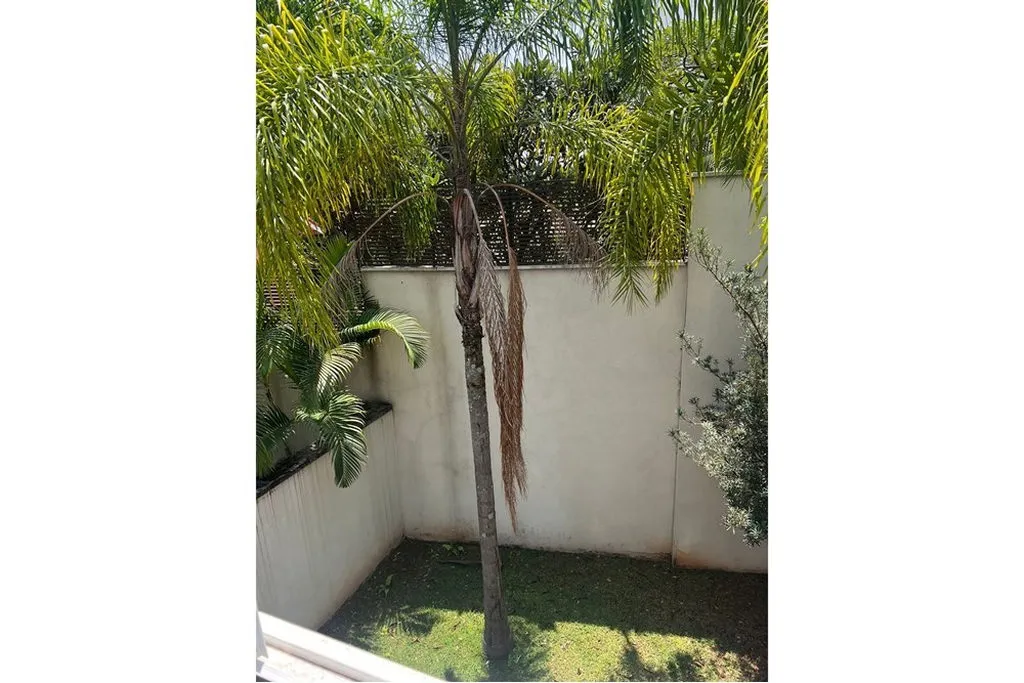 Imagem RPJCDAM 541 Casa 601361051-23 - RPJCDAM 541 Casa 601361051-23