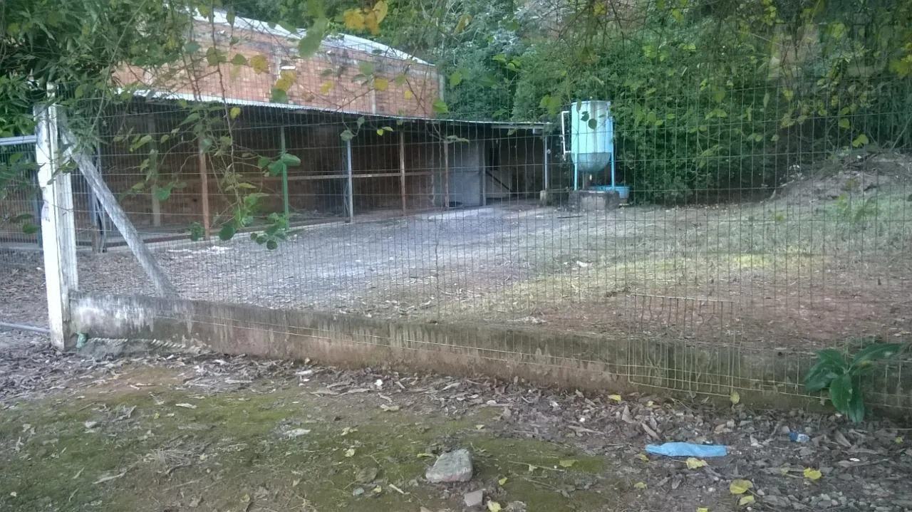 Foto do imóvel Terreno para Venda em São Leopoldo / RS