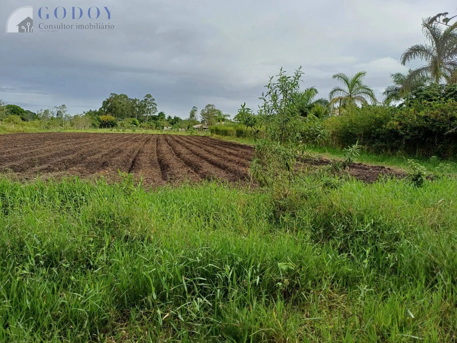 Imagem ÁREA RURAL