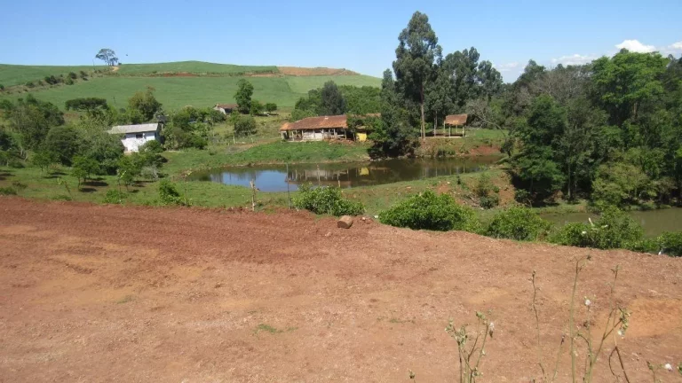 Imagem Área Agrícola para Venda em Arabuta, Rural