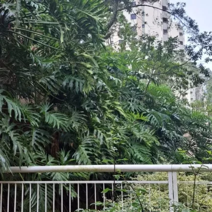 Imagem Apartamento à venda 3 quartos, terraço em Bairro Santa Terezinha, SBC