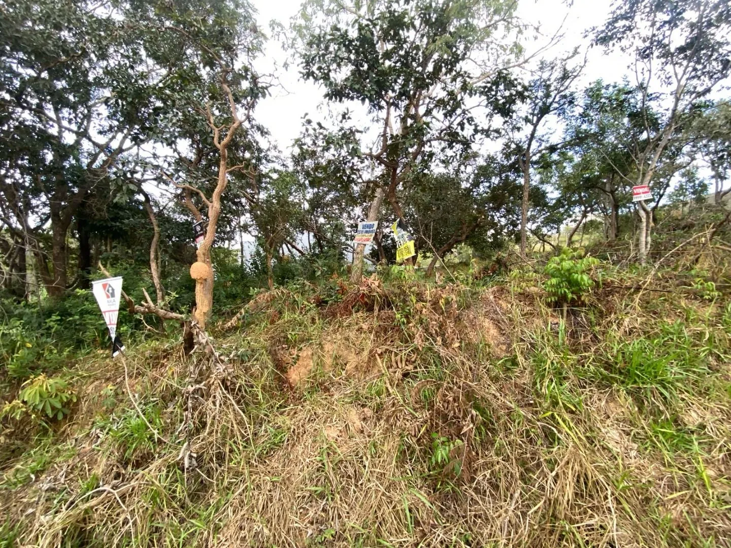 Imagem Terreno à venda, 533 m² por R$ 300.000,00 - Vila Paradiso - Lagoa Santa/MG