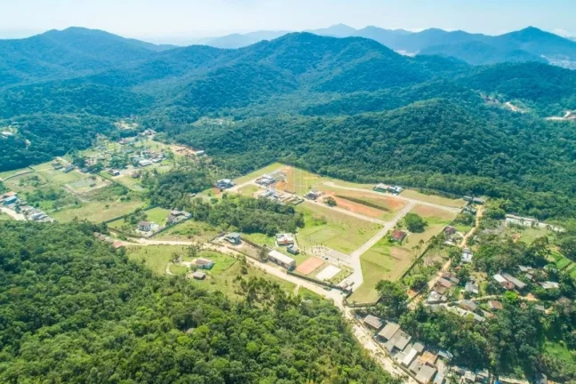 Imagem Gralha Azul Condomínio