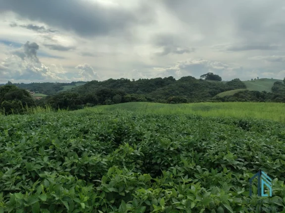 Imagem Terreno com 9,2 Alqueires, área verde ideal para plantio ou construção, em Campo Largo PR