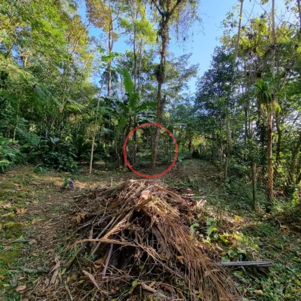 Imagem Lindo terreno na Beira Rio, com 1500 mt com patamar e area de preservaçao.
