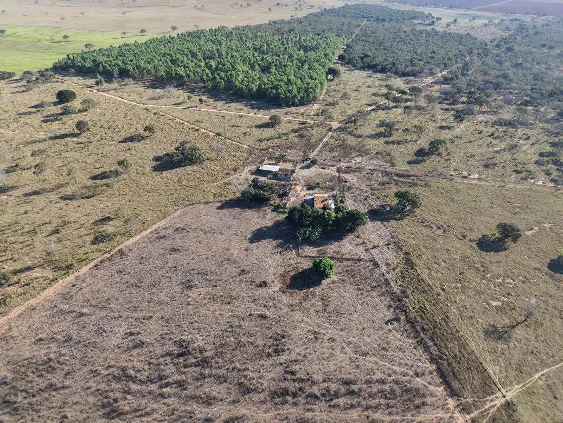 Imagem Fazenda à Venda em Papagaios/MG ? 150 Hectares