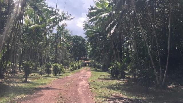 Imagem Terreno à Venda, 80000 m² em Decouville - Marituba