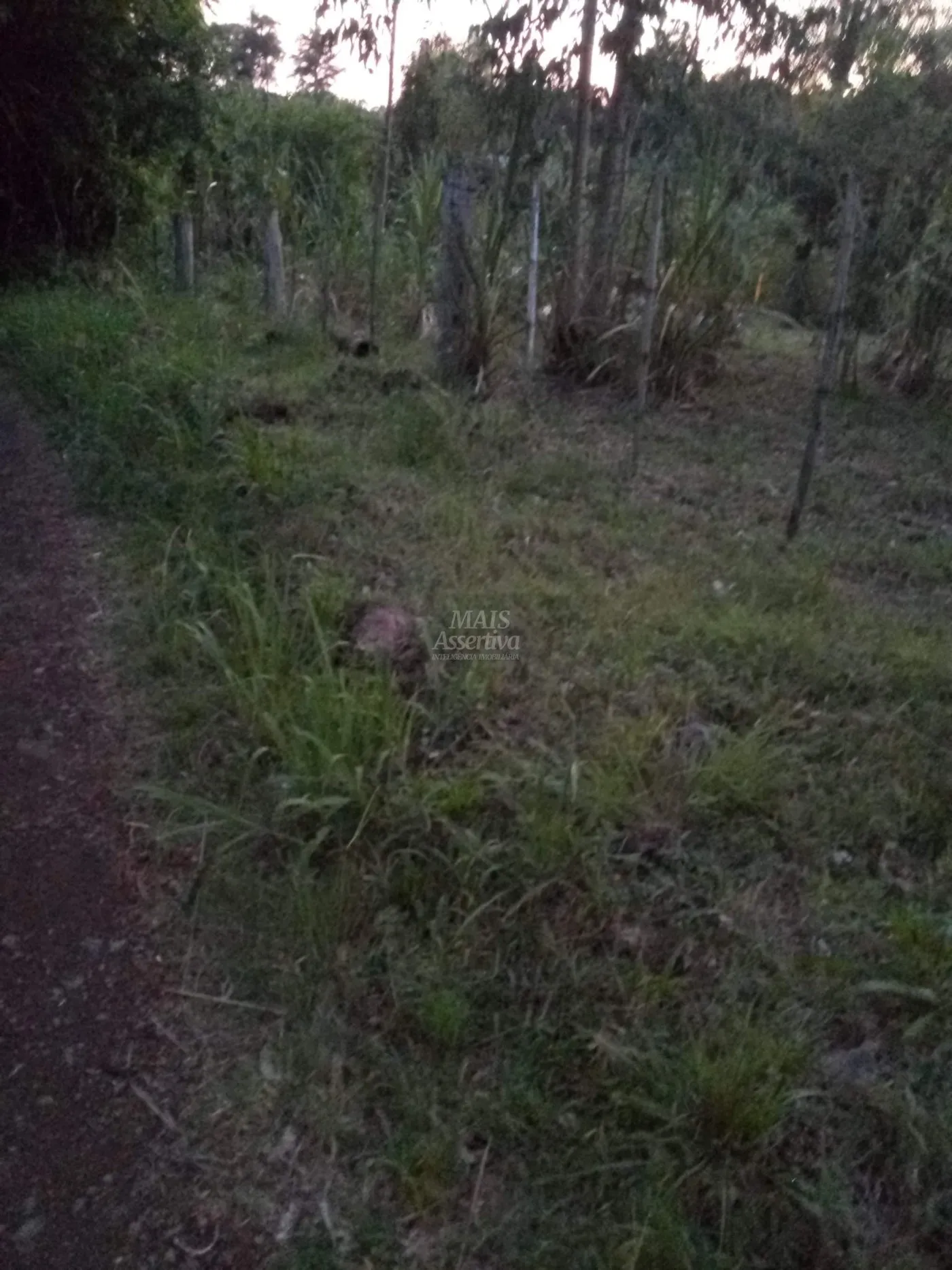 Imagem Chácara para venda em Rolante (8.000m²)