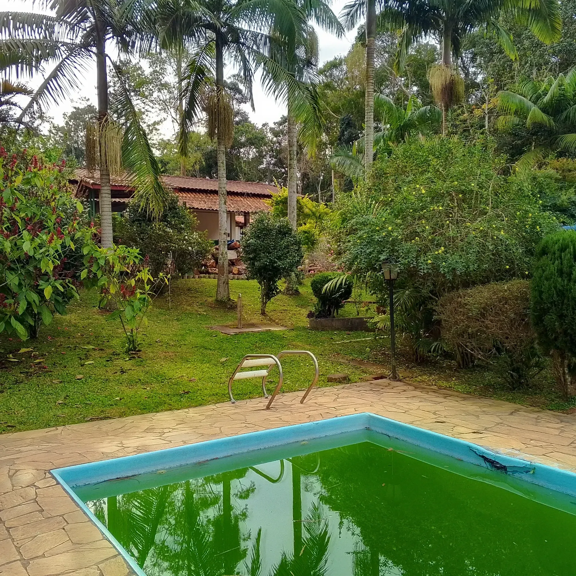 Imagem Chácara com 3 Quartos à Venda, 12.000 m² em Jardim das Cerejeiras - Cotia
