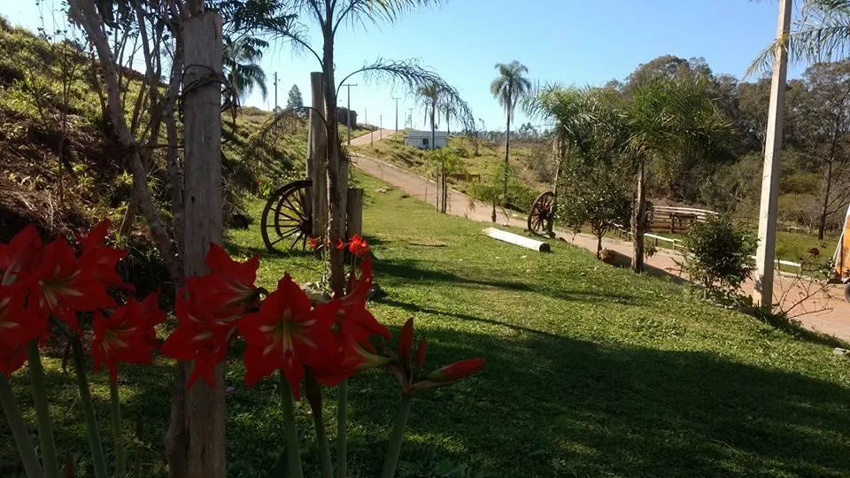 Imagem Terreno para Venda em Portão / RS