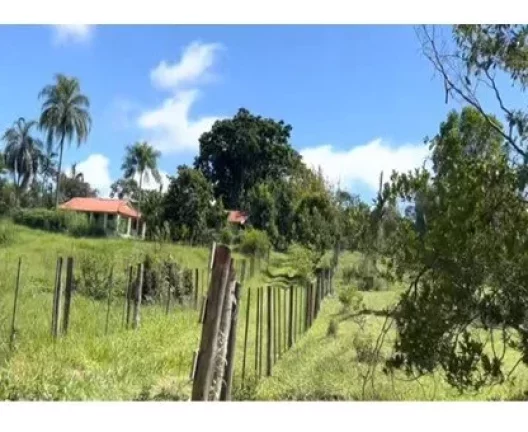 Imagem Sítio a VENDA, BAURU/SP, 05 alqueires
