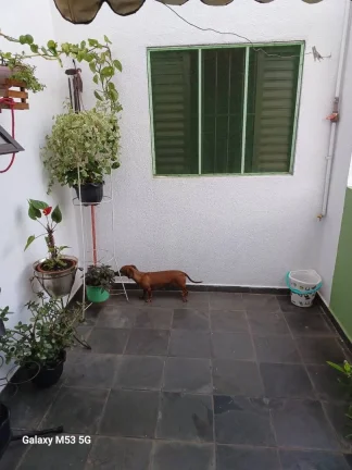 Imagem Quer morar bem, com conforto e tudo ao seu alcance na Vila Curuçá?
