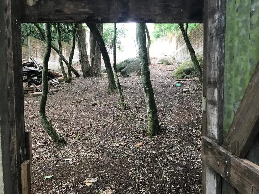Imagem Terreno em Belém Velho