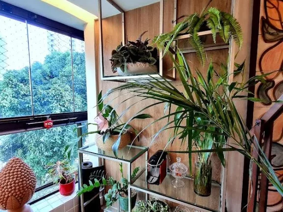 Imagem Apartamento em Monteiro com 140m !