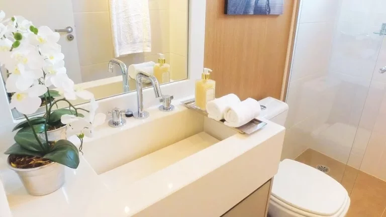 Imagem Apartamento à Venda Na Saúde Com 2 Dormitórios e 2 Vagas - Varanda Gourmet