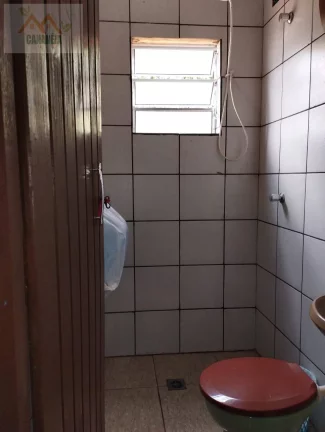 Imagem CHÁCARA CANANÉIA
