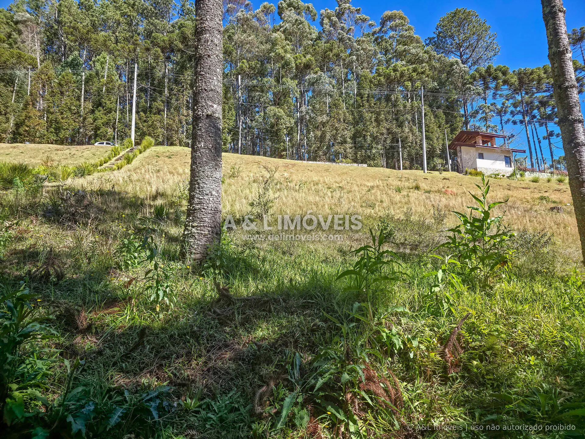 Imagem Lote à venda no Reserva Figueiredo em Campos do Jordão | 1.146,58 m²