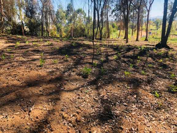 Imagem Terreno à Venda, 500 m² em verava - Ibiúna