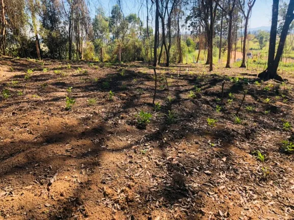 Imagem Terreno à Venda, 500 m² em verava - Ibiúna
