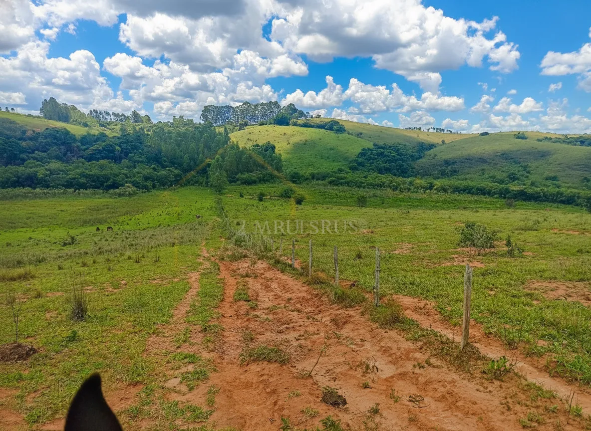 Imagem Sítio 50 m² à venda em Centro, Cruzília