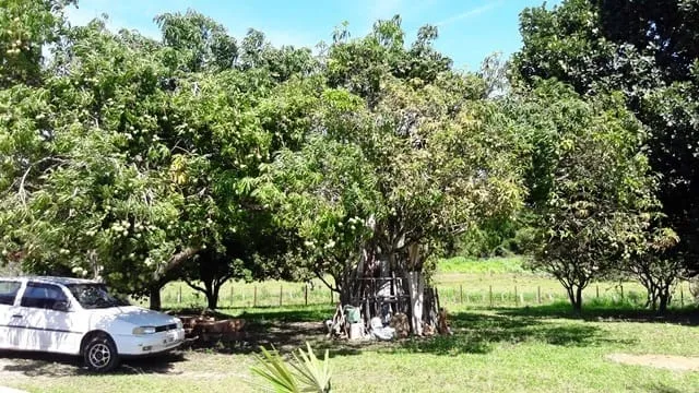 Imagem Chácara à venda 3 Quartos, 2 Suites, 5 Vagas, 5645M², Goiabal, Pindamonhangaba - SP