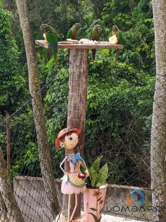 Imagem Linda pousada a venda em Ilhabela, vista mar!