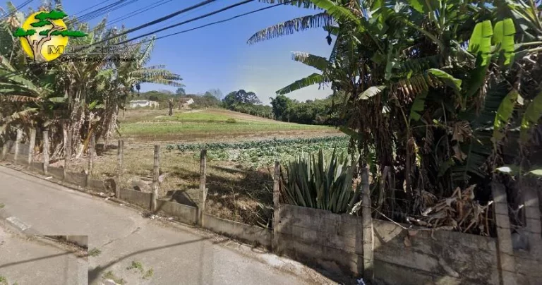 Imagem AREA COM 26MIL M² NA ZONA LESTE - ZONEAMENTO Z-1