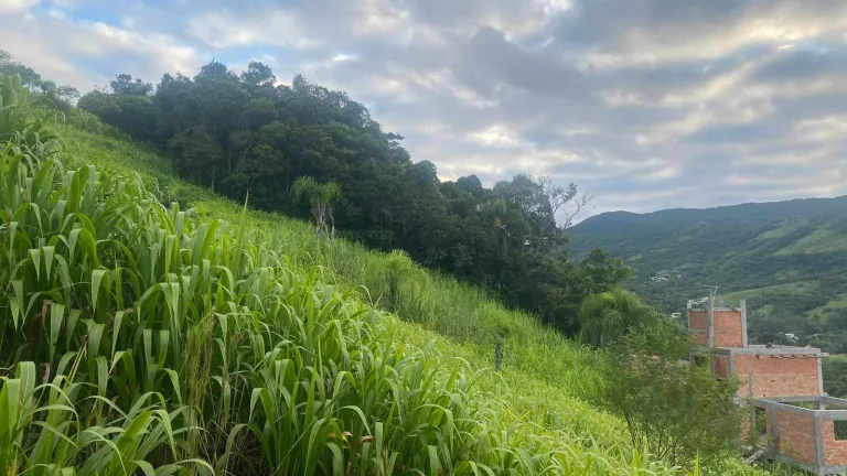 Imagem Oportunidade única: Terreno à venda em Garopaba-SC, Bairro Macacu, 1.000m² de área!