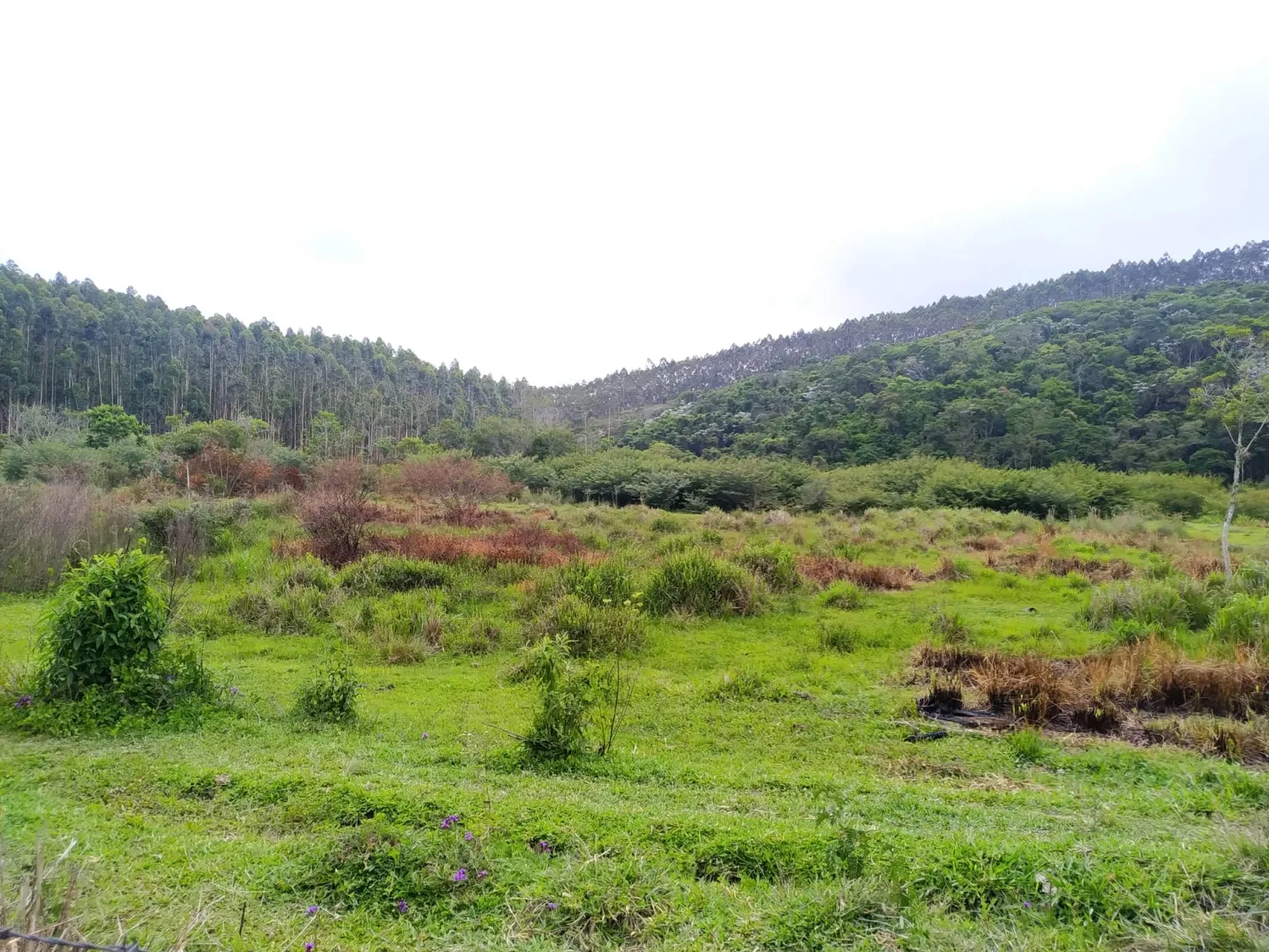 Imagem Chácara à venda 1700000M², Centro, São Luiz do Paraitinga - SP