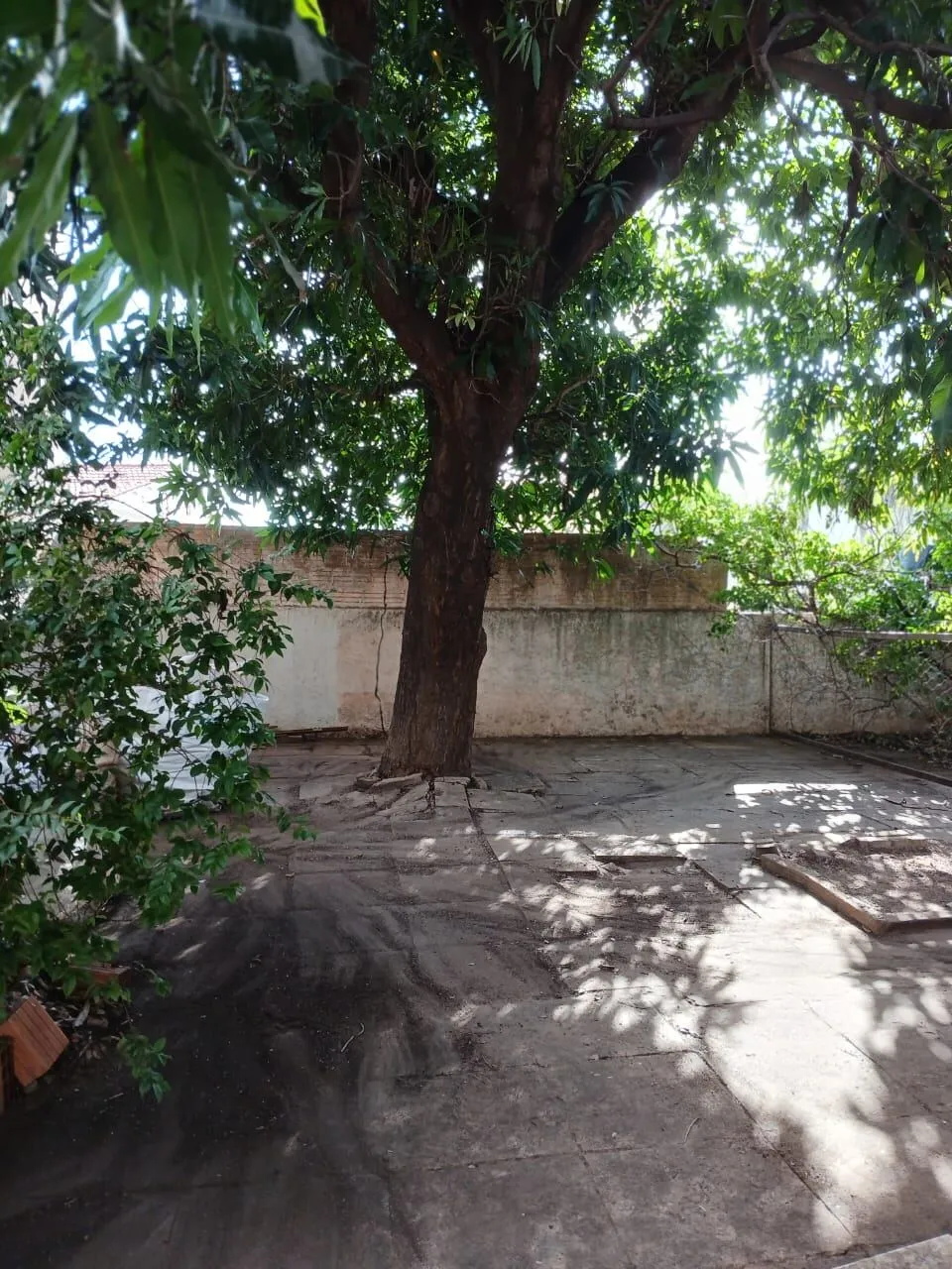 Imagem Casa 3 quartos I sendo uma suíte I no Bairro Alvorada .