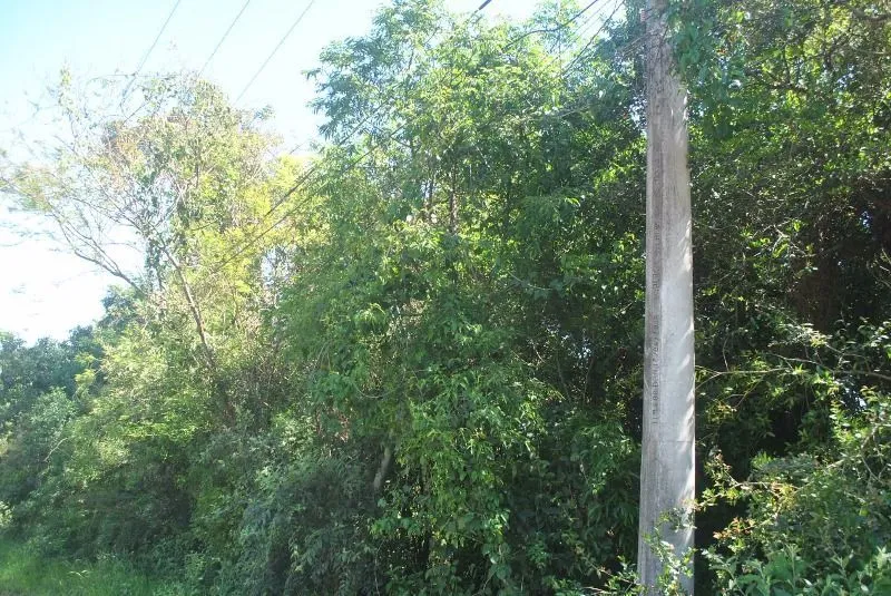Imagem Terreno para Venda - 2611,50m² no bairro Espírito Santo