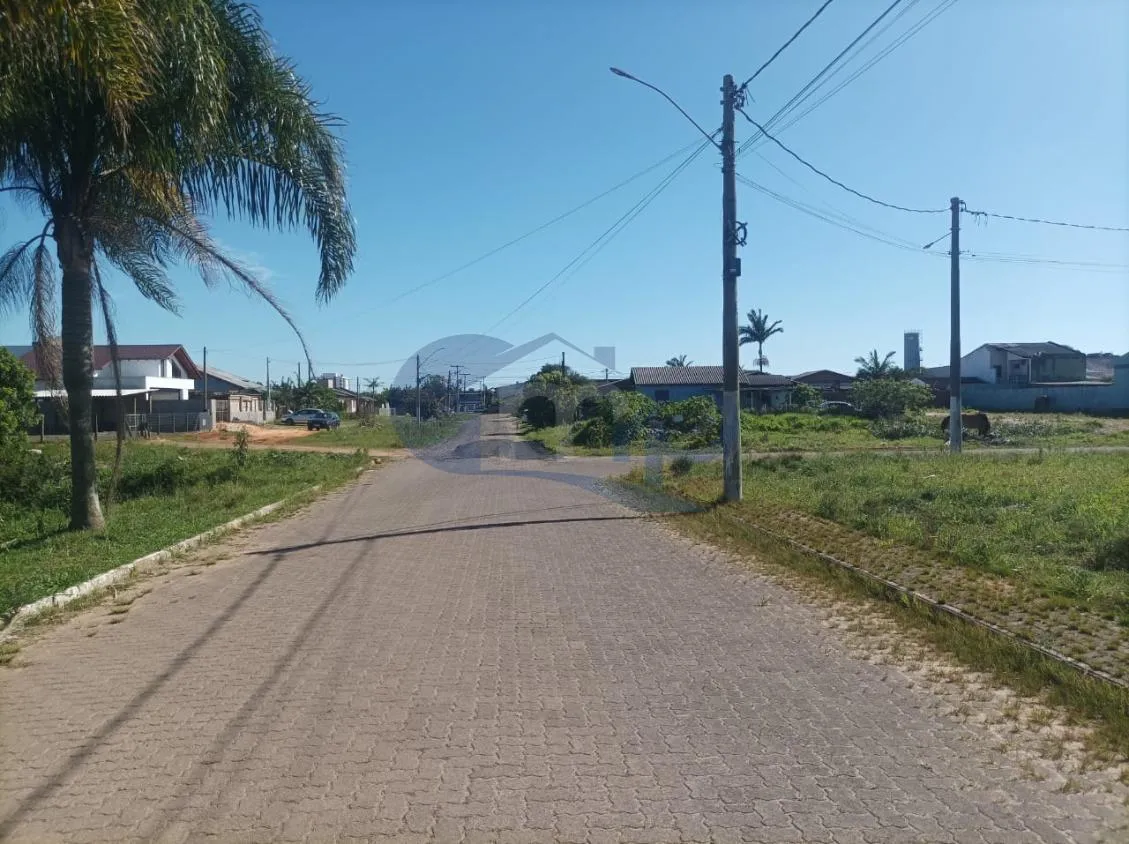 Imagem Onde a Cidade Encontra a Natureza: Morada das Palmeiras em Torres