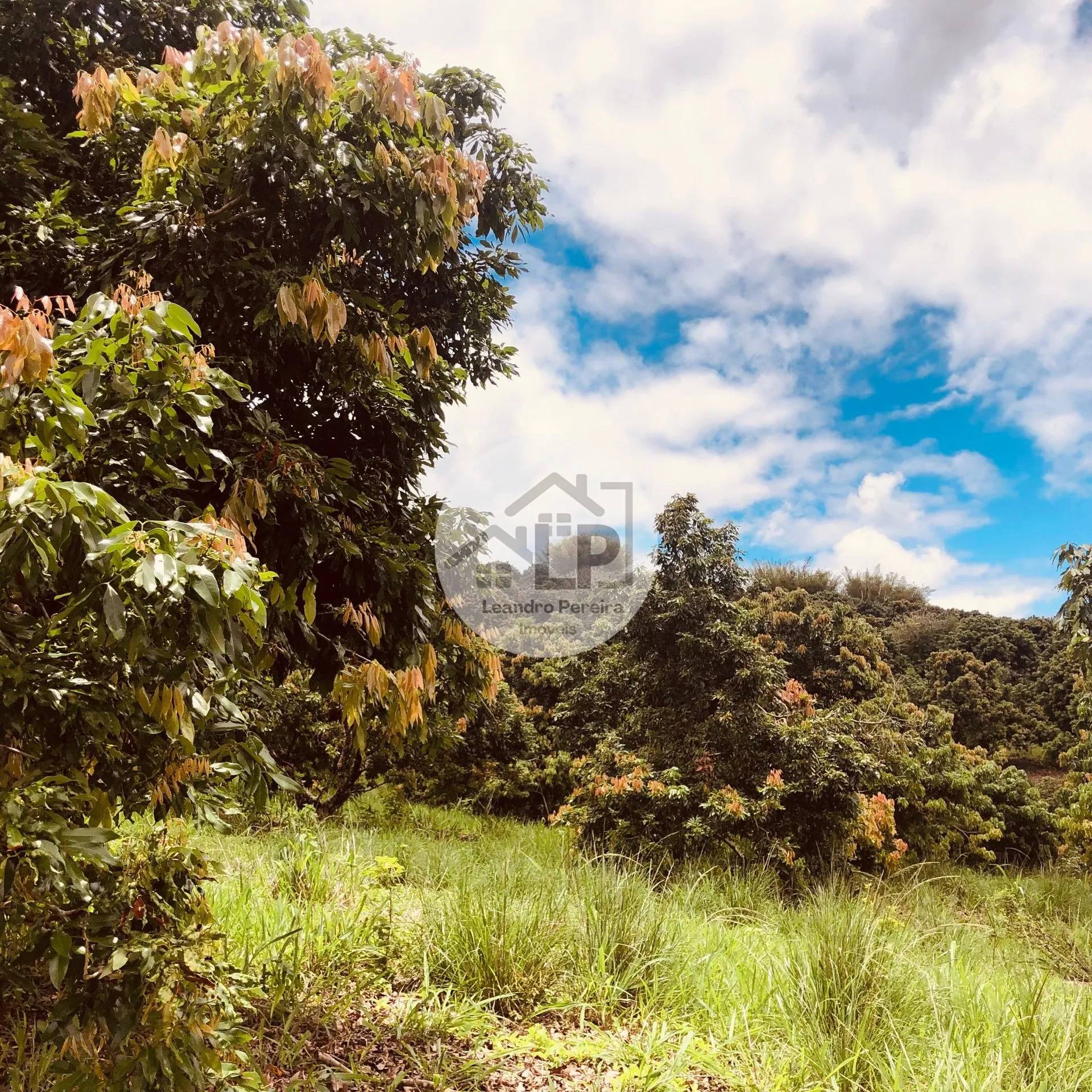 Imagem Fazenda/Sítios/Chácaras de 480000m² no bairro Carmo, em Carmo